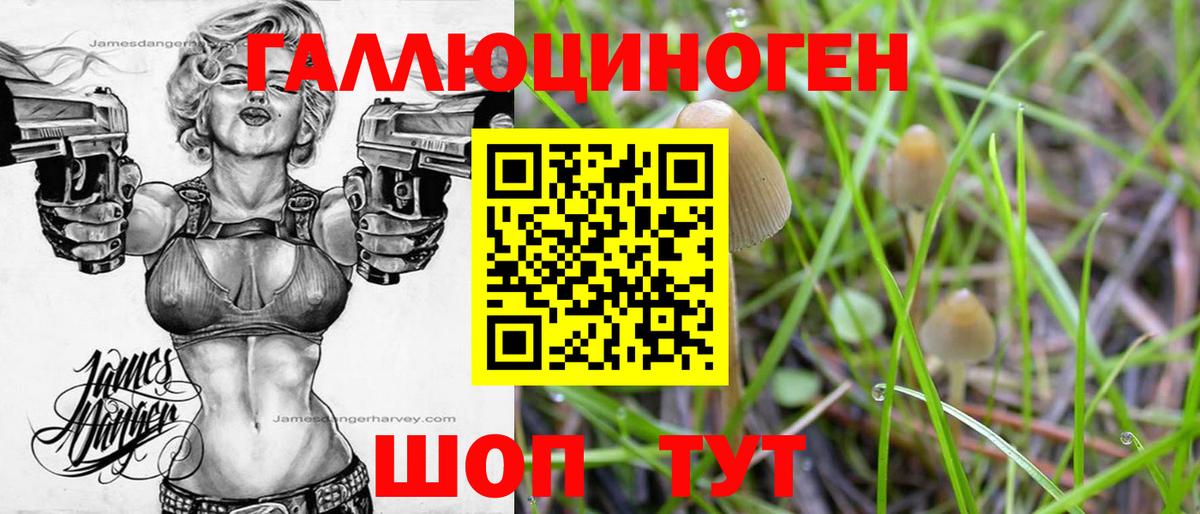Псилоцибиновые грибы мицелий Таганрог